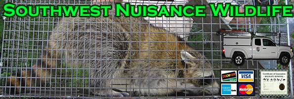 Free Springfield MO Wildlife Control Animal Removal Missouri