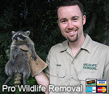 Orange County Wildlife Control