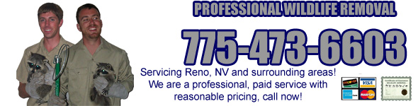 Advanced Integrated Pest Management 155 Glendale Ave Ste 11 Sparks Nv 89431 Yp Com