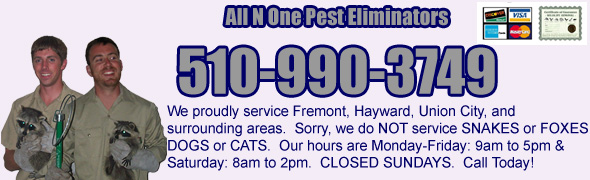 Top Fremont Animal Control in the year 2023 The ultimate guide 