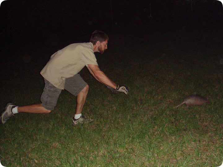 How to Catch an Armadillo by Hand