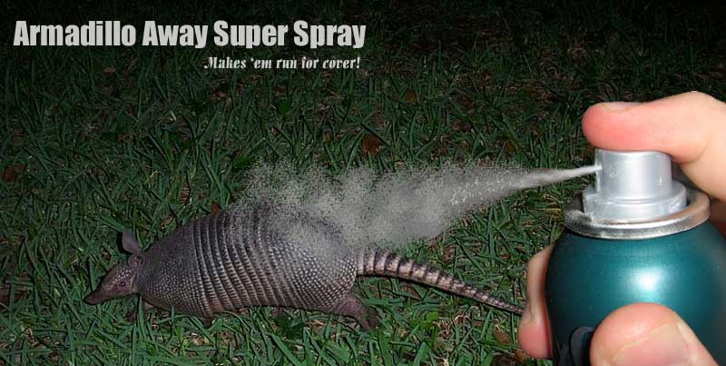 Magic Spray