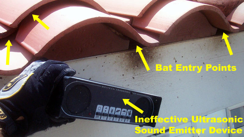 Bat repellent deals