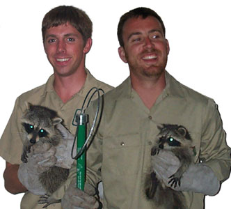 All About Wildlife Control - Wild Animal Removal Professionals