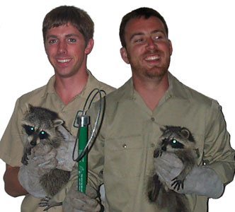 Minnesota Wild Animal Removal - Animal Control MN - Exterminator MN