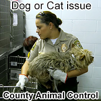 County Animal Services